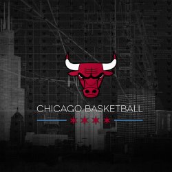 Bulls 1024x1024.jpg