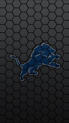 Black Hexagons Lions 01.jpg