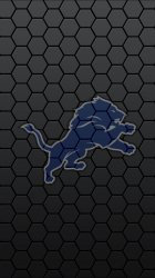 Black Hexagons Lions 02.jpg