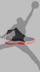 MJ Shoe 02.jpg