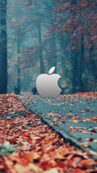 Apple_logo_herbst21.png