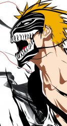 Bleach 01.jpg