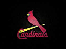 St_Louis_Cardinals-bird_on_bat_Wallpaper_nku9.jpg