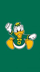 Ducks 03.jpg