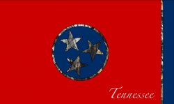 Custom TN Flag.jpg