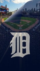 Detroit Tigers 02.jpg