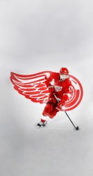 Red Wings 01.jpg