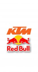 KTM Red Bull.jpg