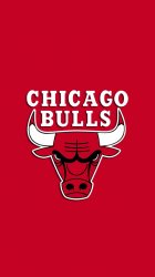 Chicago Bulls 01.jpg