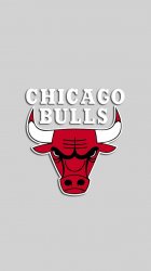 Chicago Bulls 02.jpg