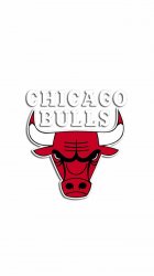 Chicago Bulls 03.jpg