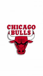 Chicago Bulls 04.jpg