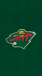 Minnesota Wild 01.jpg