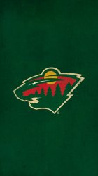 Minnesota Wild 02.jpg