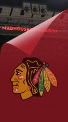 Blackhawk Madhouse 03.jpg