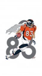 Wes Welker.jpg