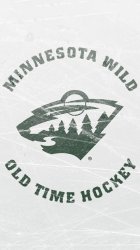 Minnesota Wild.jpg