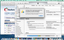 Screen Shot 2013-11-29 iTunes problems.png