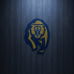 Golden Bears 01.jpg