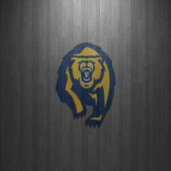 Golden Bears 02.jpg