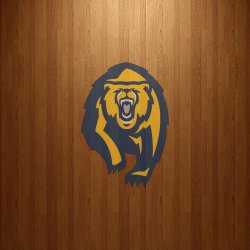 Golden Bears 03.jpg