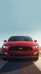 2015 Mustang 001.jpg