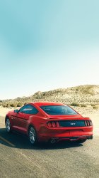 2015 Mustang 002.jpg