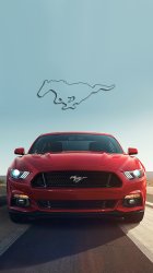 Mustang logo 01.jpg