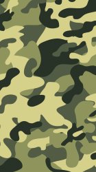 Camo 01.jpg