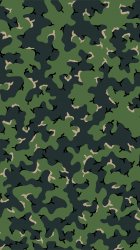 Camo 05.jpg