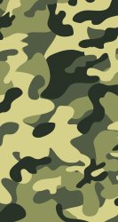 Camo 02.jpg