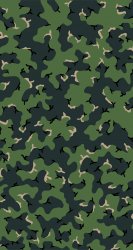 Camo 06.jpg