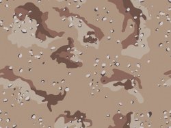 Desert-Camo.jpg