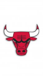 Bulls 640.jpg