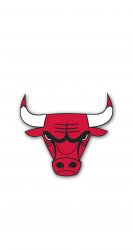 Bulls 744.jpg