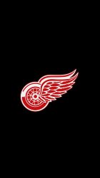 Red Wings 01.jpg