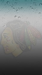 Blackhawks rain 02.jpg