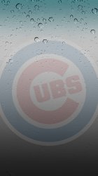 Cubs rain 03.jpg