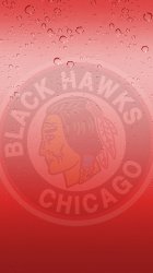 Blackhawks rain 01.jpg