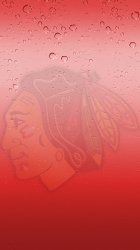 Blackhawks rain 02.jpg