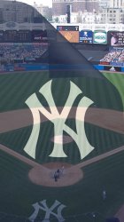 NY Yankees curl.jpg