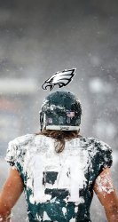 Eagles logo 01.jpg