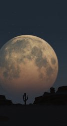 Desert Moon 01.jpg