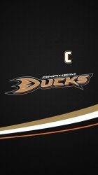 Ducks 01.jpg