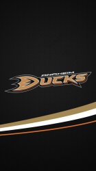 Ducks 02.jpg