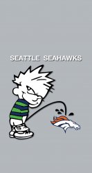 Seahawks dis.jpg