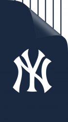 Yankees curl.jpg