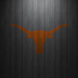 Longhorns 01.jpg