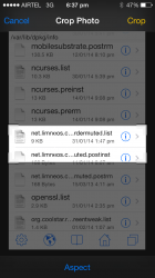 photo (1).PNG