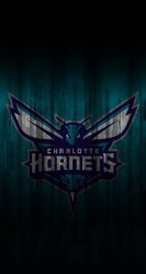 Hornets.jpg